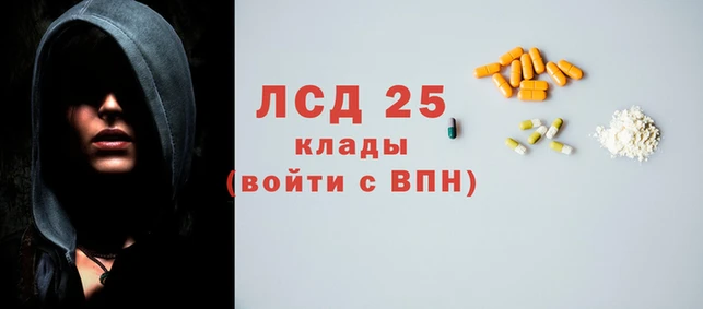 a pvp Аркадак