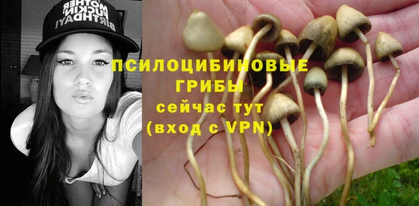 a pvp Аркадак