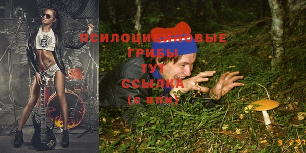 a pvp Аркадак
